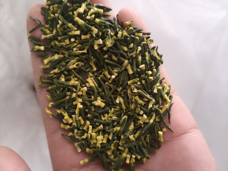 湘潭莲子芯莲心头子王粗头子中头子都有