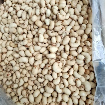B2炭烧腰果腰果大量现货源头工厂直销性价比