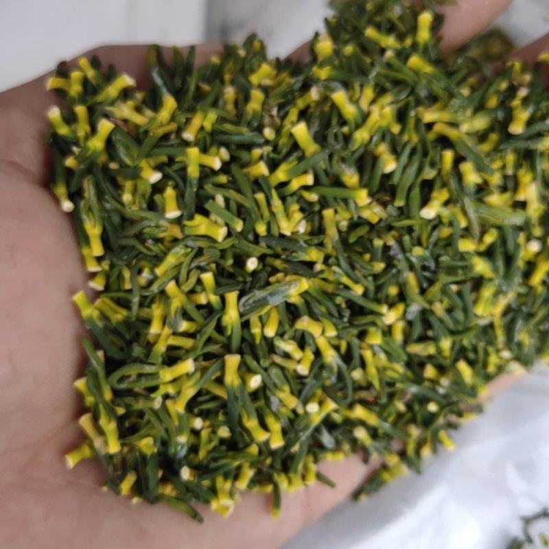 湘潭莲子芯莲心头子王粗头子中头子都有