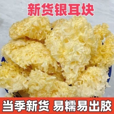 古田高山银耳块丑耳白木耳块干货糯耳银耳碎净重无硫无干燥剂