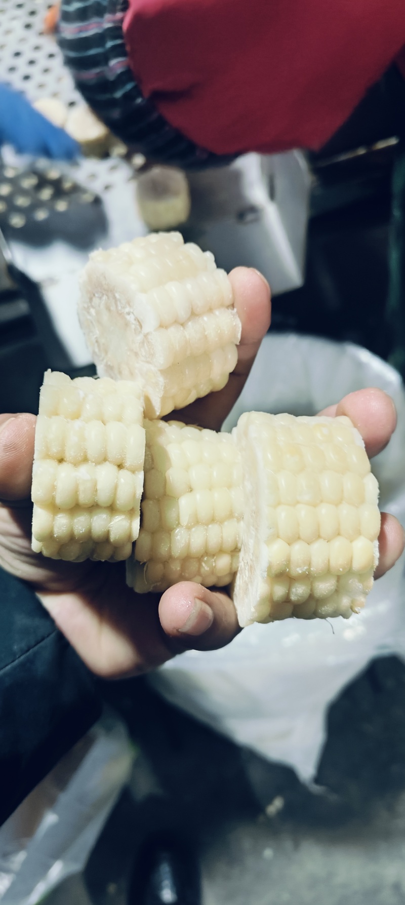 速冻糯玉米3cm段量大优惠
