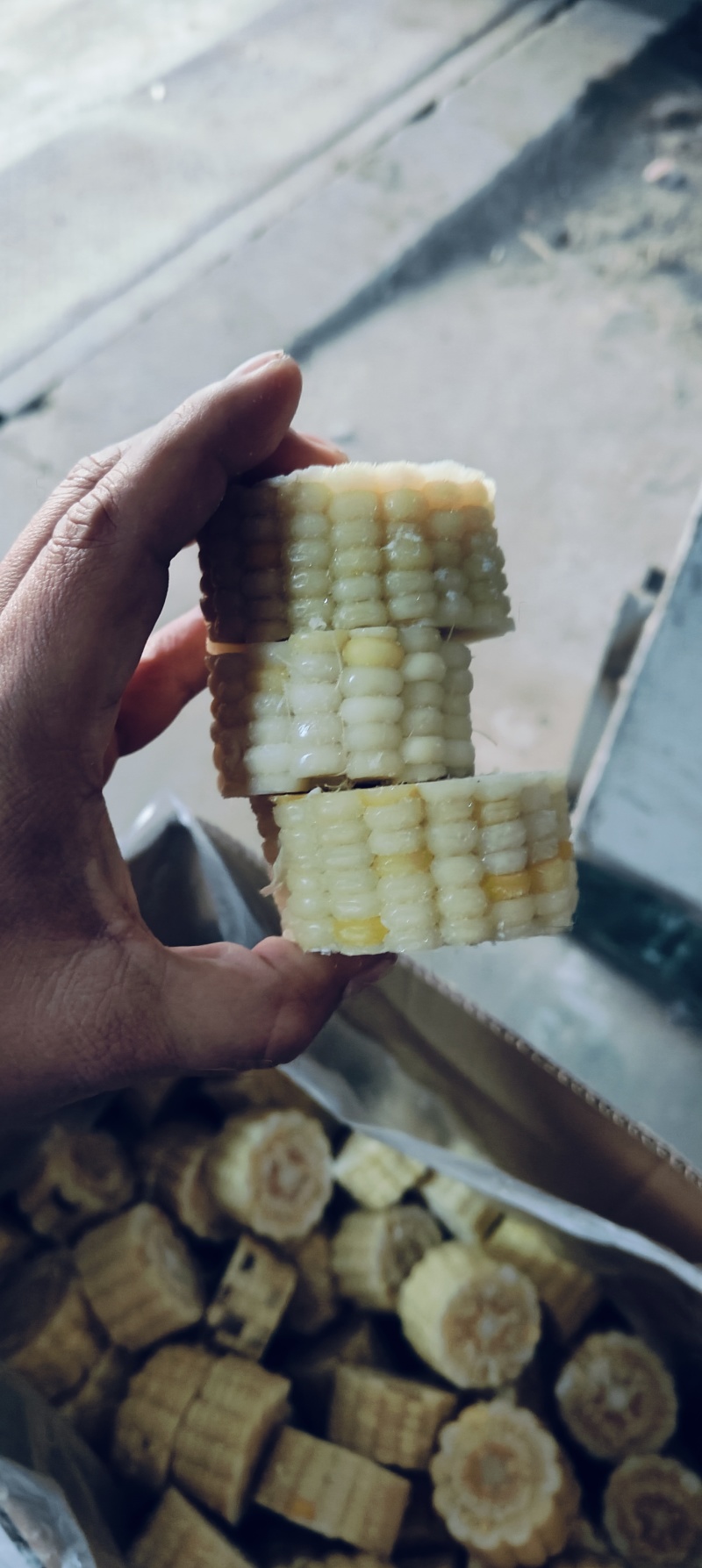 速冻糯玉米3cm段量大优惠