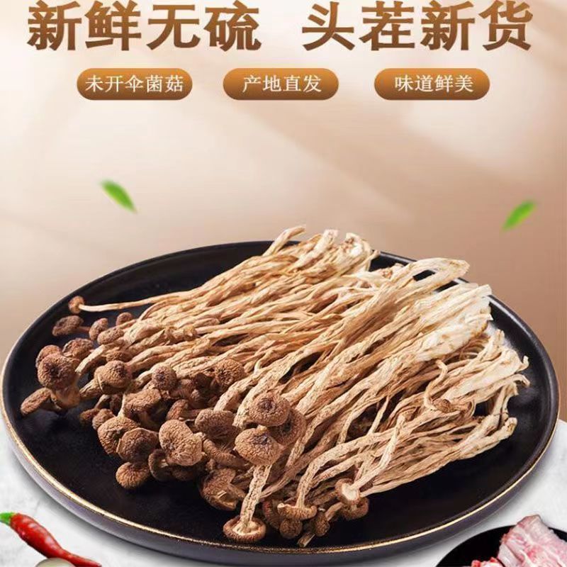 菇佬佬古田农家不开伞茶树菇煲汤干货菜类茶树菇无干燥剂无托