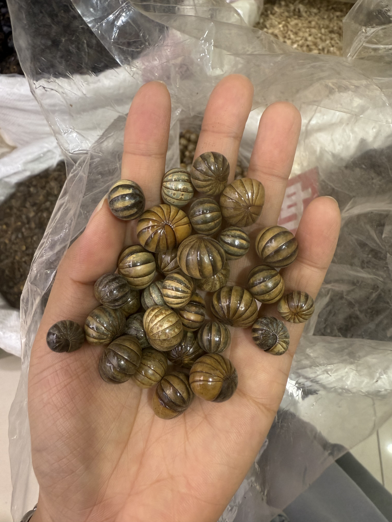 滚山珠中药材滚山虫滚山球一手货源保质保量大货供应