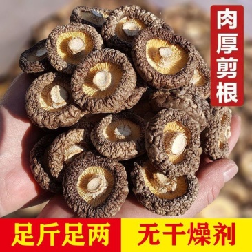 菇佬佬古田农家香菇干货菜类肉厚菌菇批发冬菇煲汤蘑菇无干燥