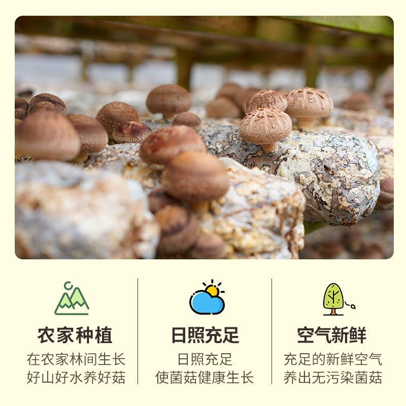 菇佬佬古田农家香菇干货菜类肉厚菌菇批发冬菇煲汤蘑菇无干燥