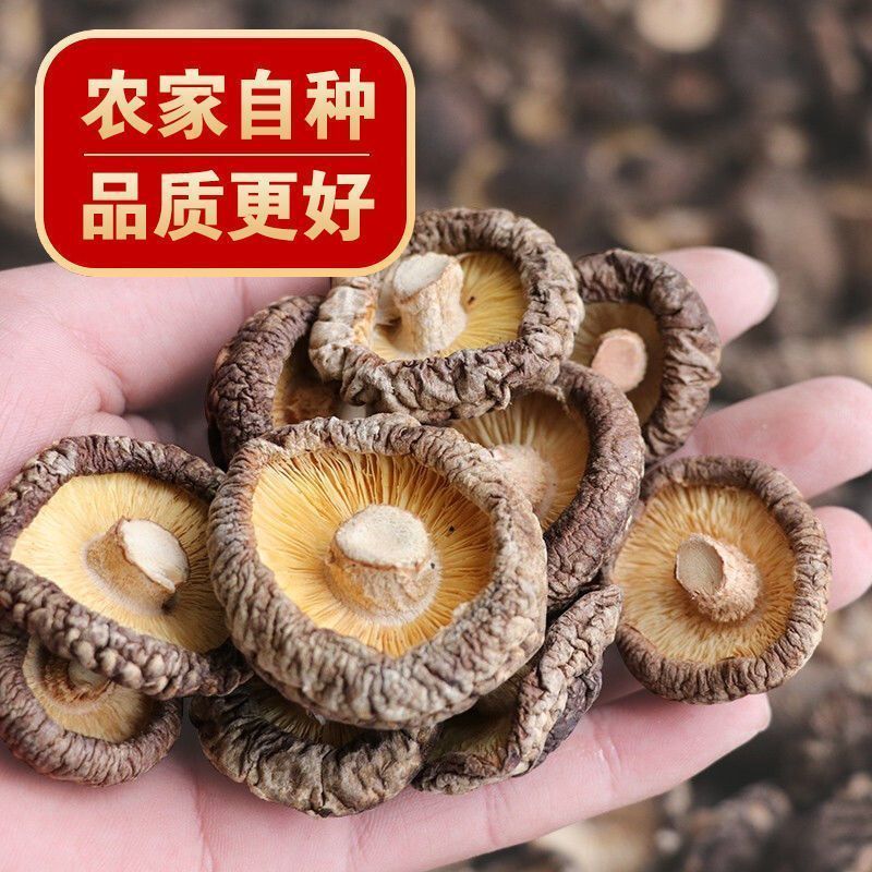 菇佬佬古田农家香菇干货菜类肉厚菌菇批发冬菇煲汤蘑菇无干燥
