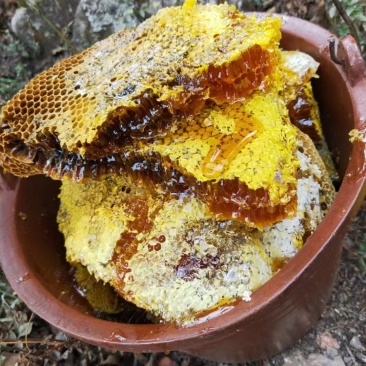 云南大山里纯土蜂蜜