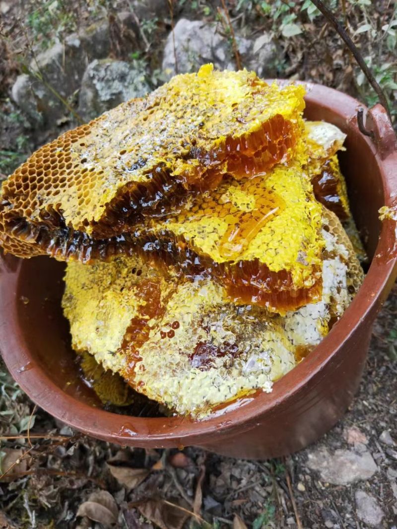 云南大山里纯土蜂蜜