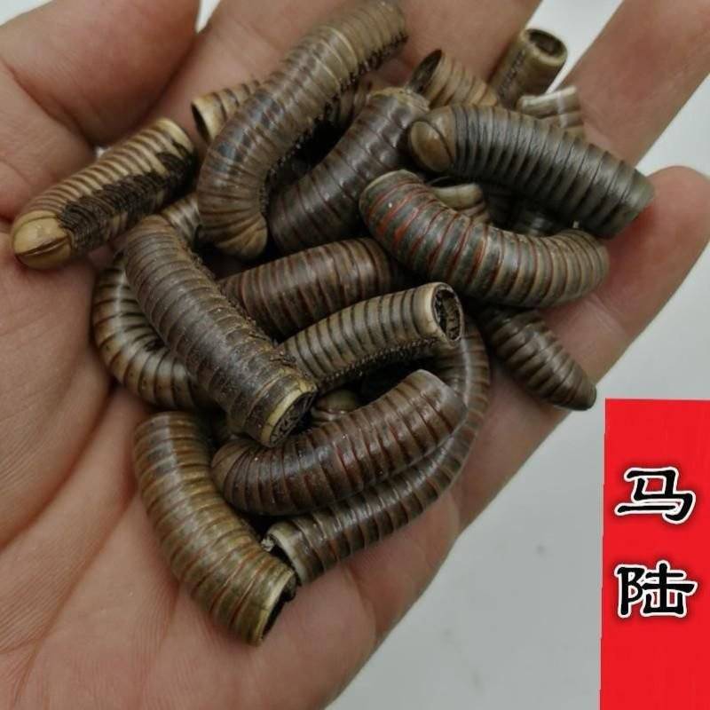 马陆中药材百节虫千足虫山蛩虫干货无硫新货***大货供