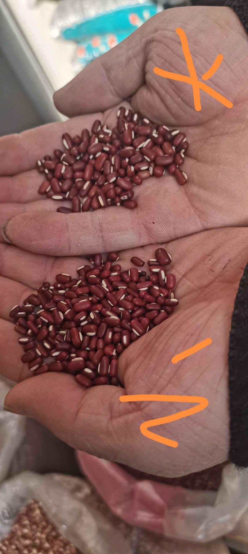 赤小豆进口小粒大粒，做食品加工25年新货一袋就发