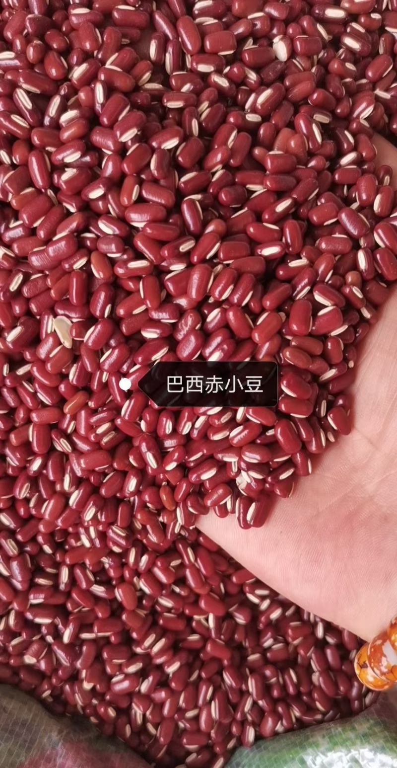 赤小豆进口小粒大粒，做食品加工25年新货一袋就发