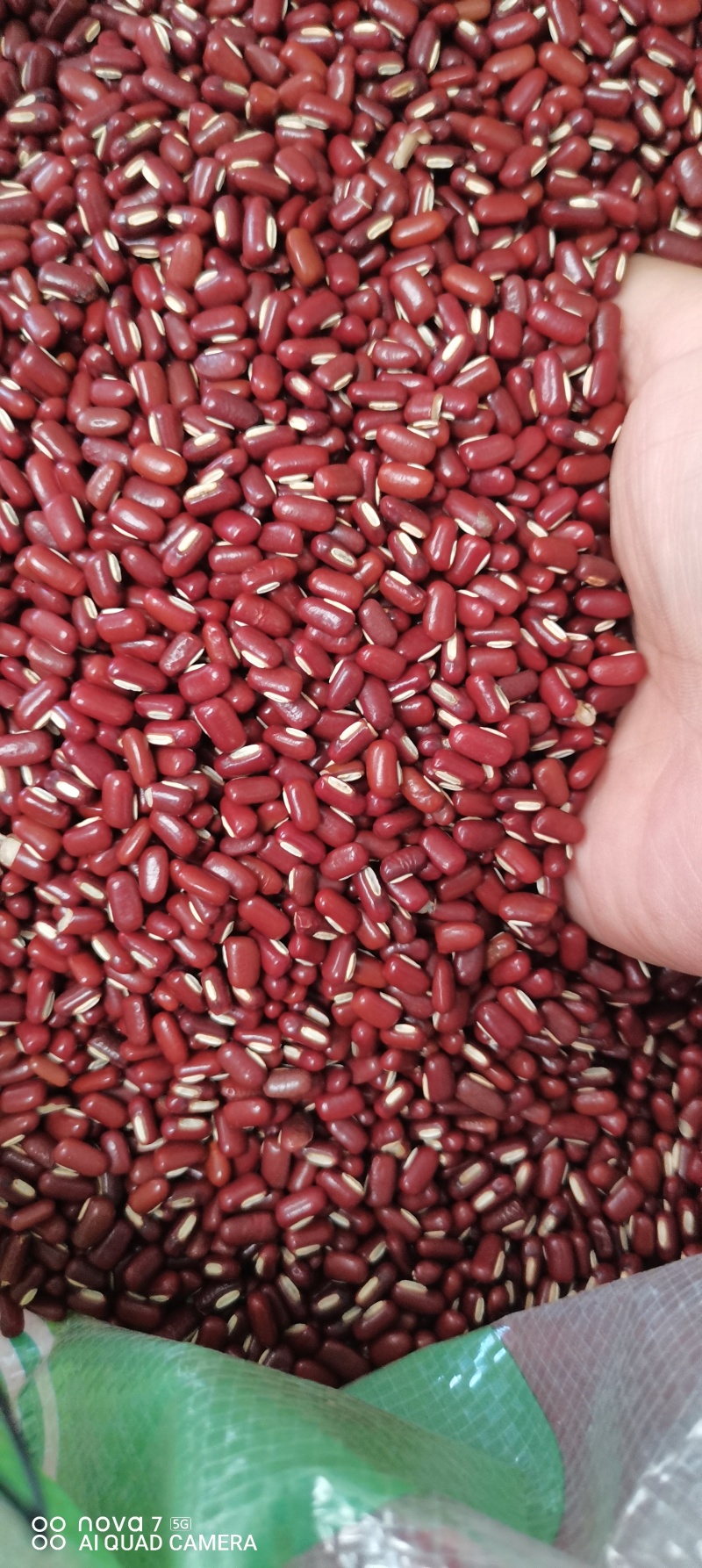 赤小豆进口小粒大粒，做食品加工25年新货一袋就发