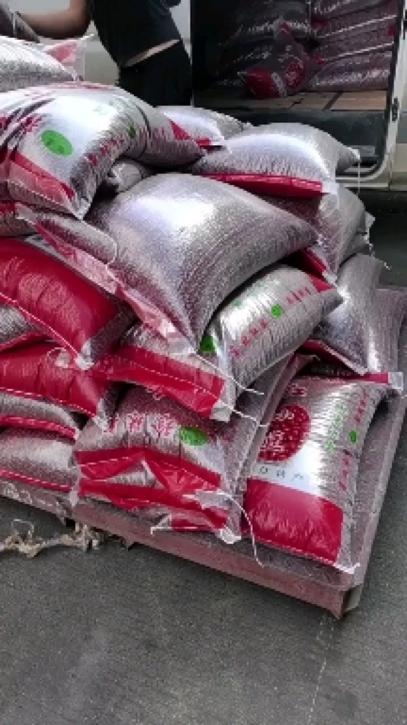 赤小豆进口小粒大粒，做食品加工25年新货一袋就发