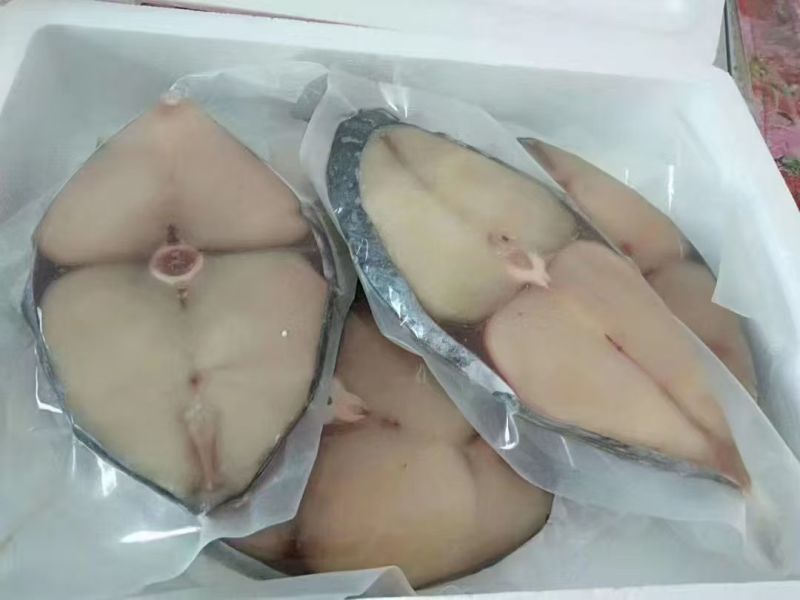 海南马鲛鱼