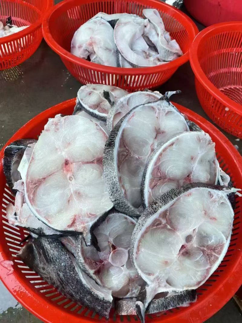 海南马鲛鱼