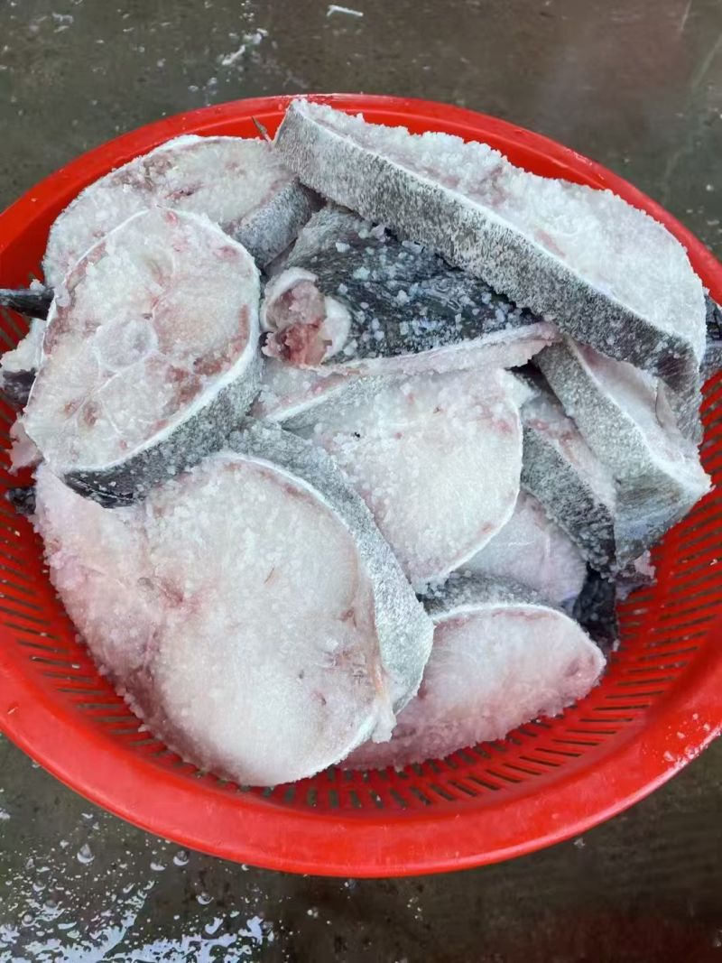 海南马鲛鱼