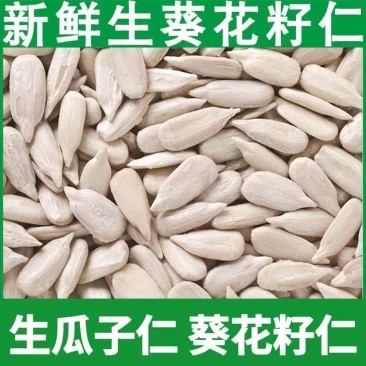 【降价冲量】生葵花籽仁生瓜子仁新货新鲜烘焙原料瓜仁瓜子原