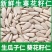 【降价冲量】生葵花籽仁生瓜子仁新货新鲜烘焙原料瓜仁瓜子原