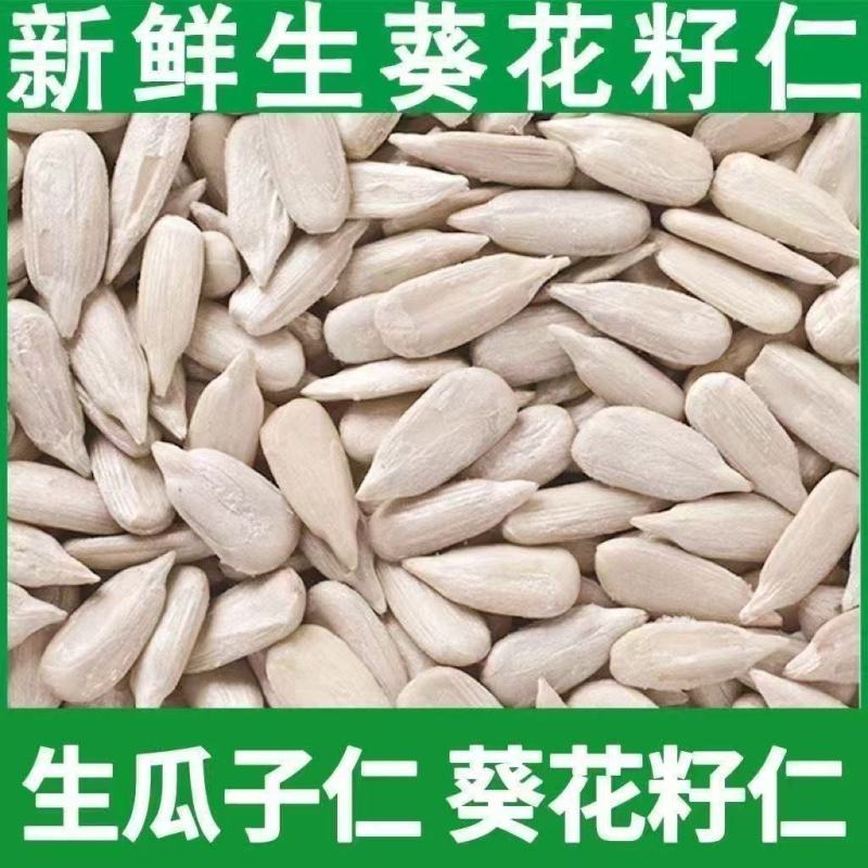 【降价冲量】生葵花籽仁生瓜子仁新货新鲜烘焙原料瓜仁瓜子原