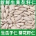 【降价冲量】生葵花籽仁生瓜子仁新货新鲜烘焙原料瓜仁瓜子原