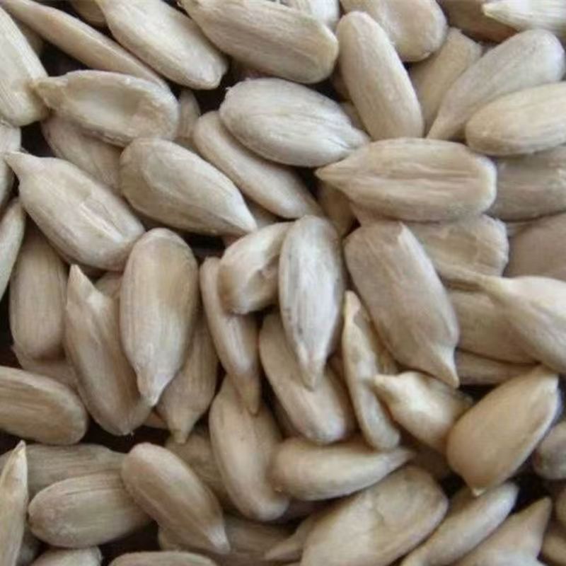 【降价冲量】生葵花籽仁生瓜子仁新货新鲜烘焙原料瓜仁瓜子原