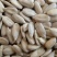 【降价冲量】生葵花籽仁生瓜子仁新货新鲜烘焙原料瓜仁瓜子原