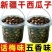 无干燥剂净重大片黑干西瓜子话梅五香炒货休闲零食多口味批发