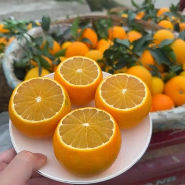 赣南脐橙