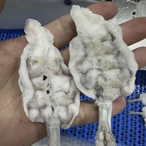 蝴蝶虾（汉虾）酒店特爱冰虾仁个头均匀量大从优