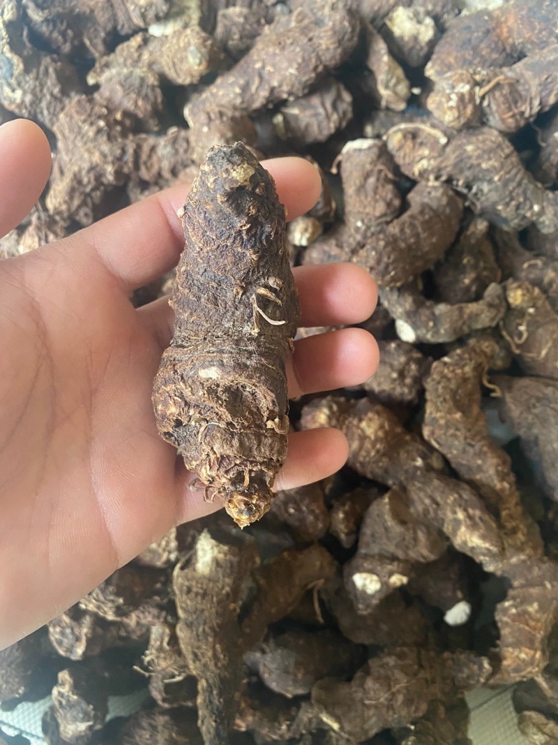 重楼中药材七叶一枝花野生滇重楼大货供应个片都有