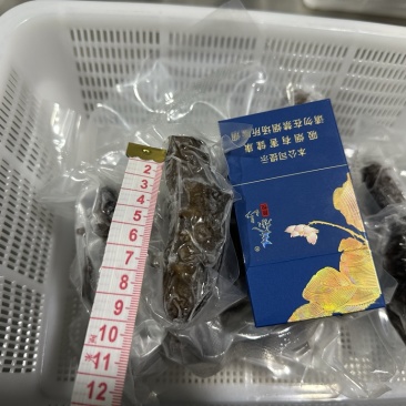 即食海参