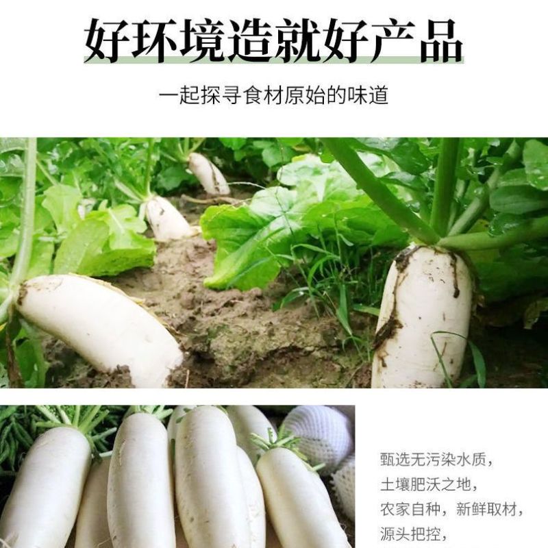 干萝卜条罗卜干干货萝卜丝湖南特产农家自晒无盐风干脱水萝卜