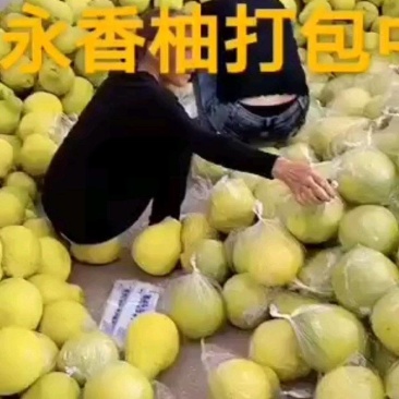 12月1日，江永香柚，纯甜无酸，果肉爆满。