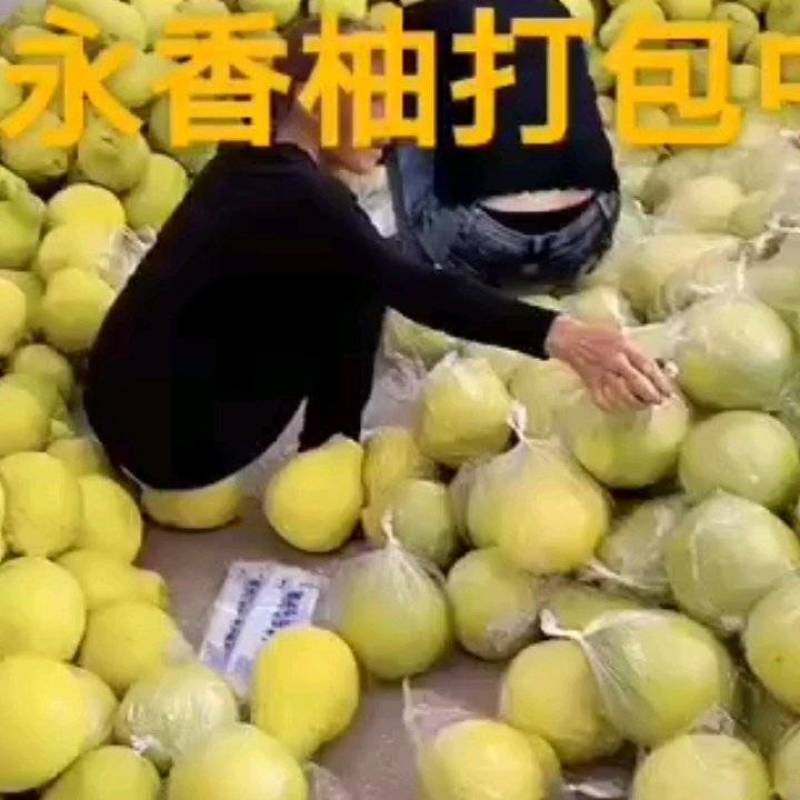 12月1日，江永香柚，纯甜无酸，果肉爆满。