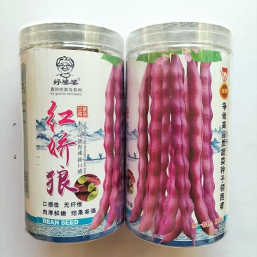 红娇娘架豆芸豆种籽高产无筋肉厚籽粒饱满春秋播种豆角种籽
