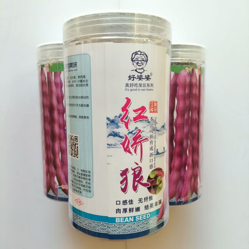 红娇娘架豆芸豆种籽高产无筋肉厚籽粒饱满春秋播种豆角种籽