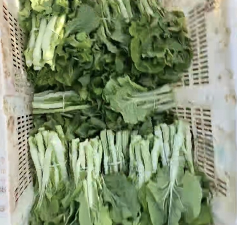 白菜苔