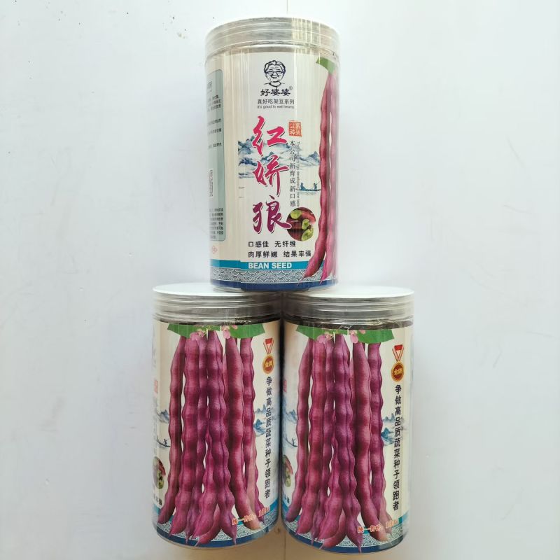 红娇娘架豆芸豆种籽高产无筋肉厚籽粒饱满春秋播种豆角种籽