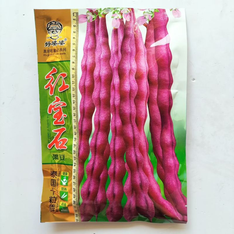 红娇娘架豆芸豆种籽高产无筋肉厚籽粒饱满春秋播种豆角种籽