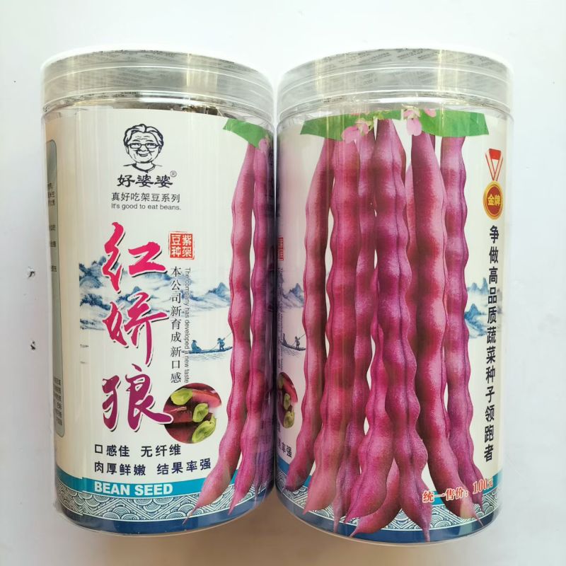 红娇娘架豆芸豆种籽高产无筋肉厚籽粒饱满春秋播种豆角种籽