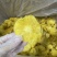 菠萝干菠萝圈酸甜可口一级品质箱装20斤