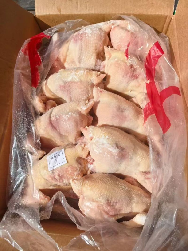 白条鸡厂家直供