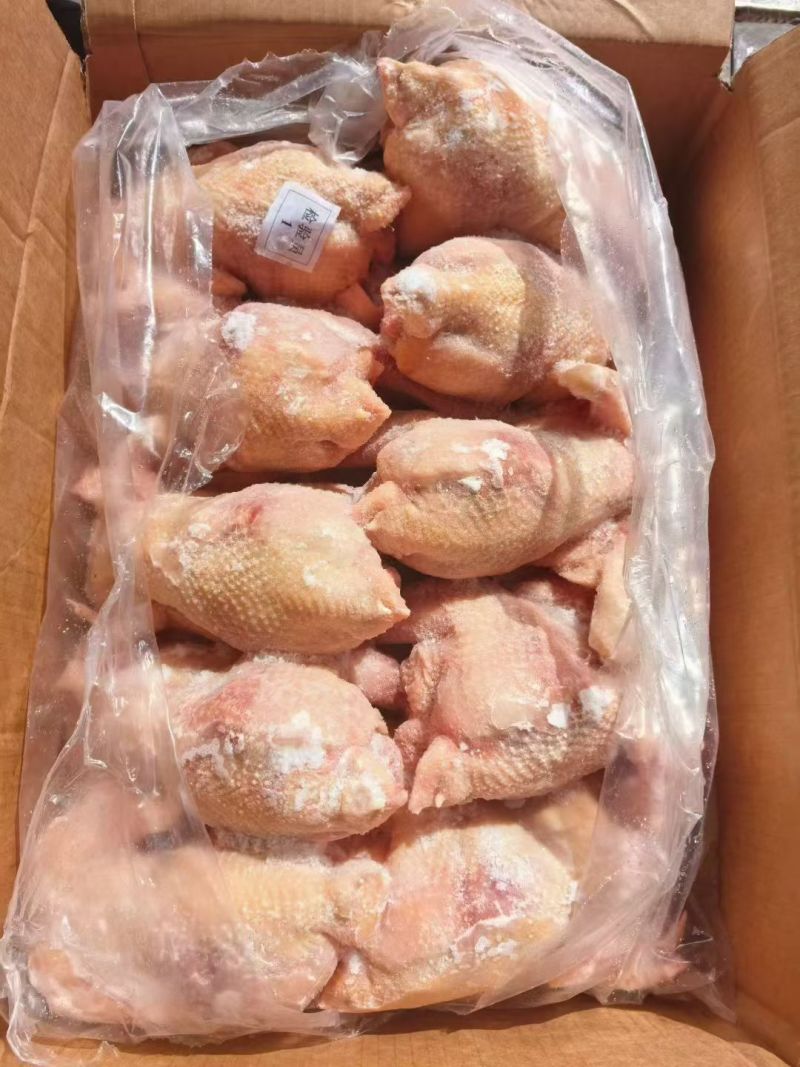白条鸡厂家直供