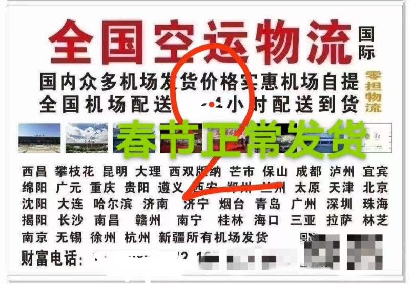 蓝莓l25l11f6花香蓝莓基地供应全国当日达