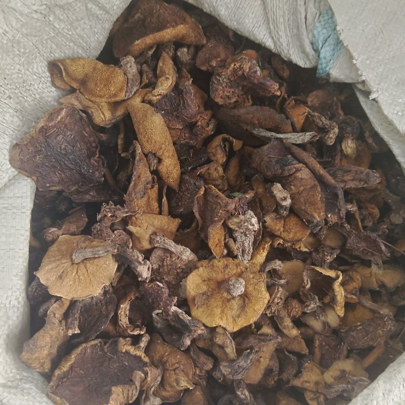 松蘑烤干