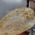 淡水鲟鳇鱼胶