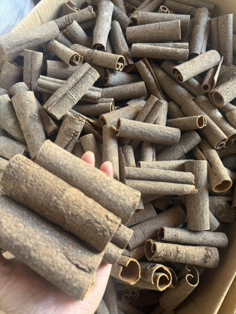 【包邮】广西岭南桂皮各种厚度大小精品无硫足干货卤肉炖肉