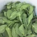 精品豌豆苗贵州高原豌豆尖跨境热销短节豌豆苗种植