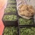 精品豌豆苗贵州高原豌豆尖跨境热销短节豌豆苗种植
